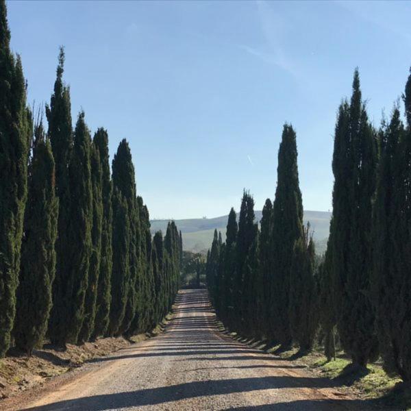 Podere Piazza Siena Exteriör bild